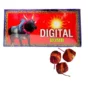 Digital Bomb (10Pcs/Box)