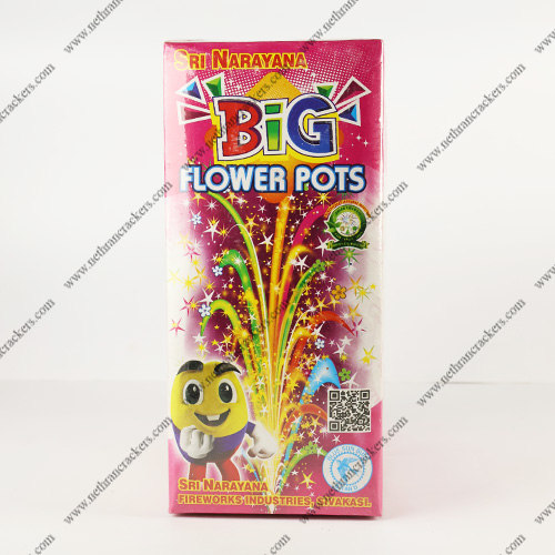 Flower Pots Big (10Pcs/Box)
