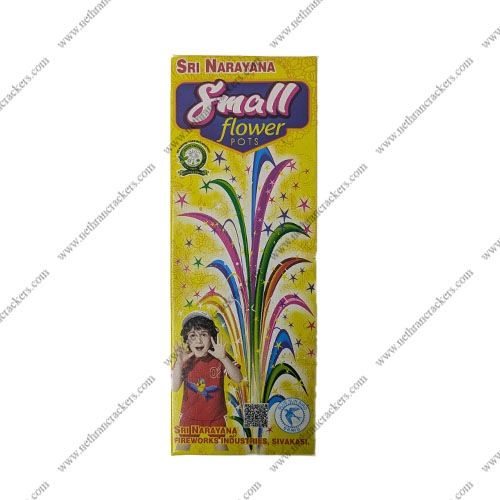 Flower Pots Small (10Pcs/Box)