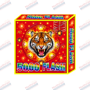 5000 Flash