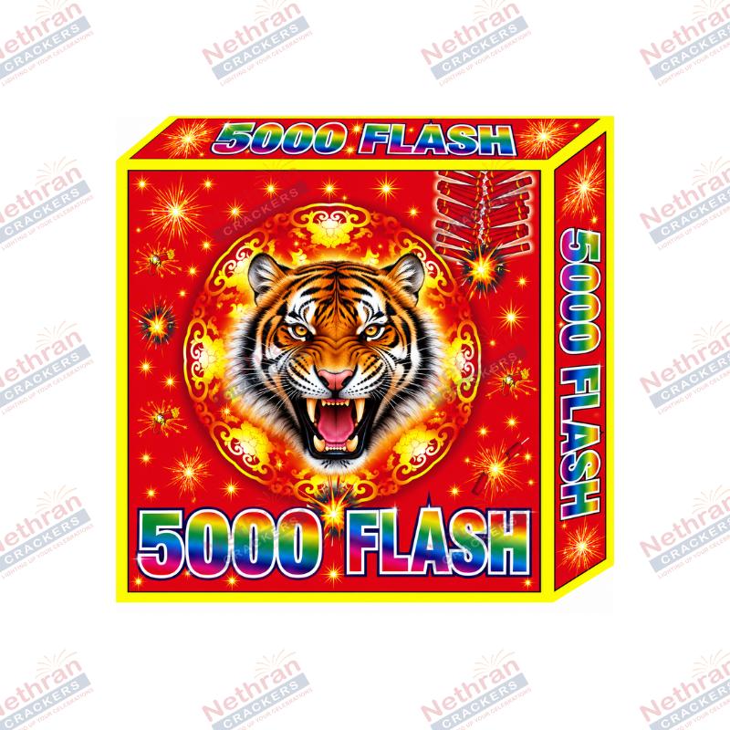 5000 Flash