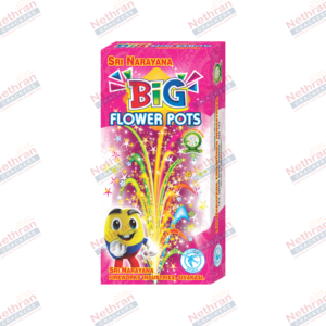Flower Pots Big (10Pcs/Box)