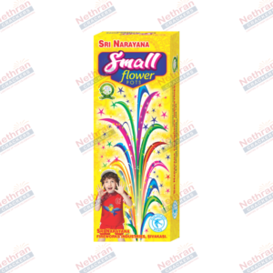 Flower Pots Small (10Pcs/Box)