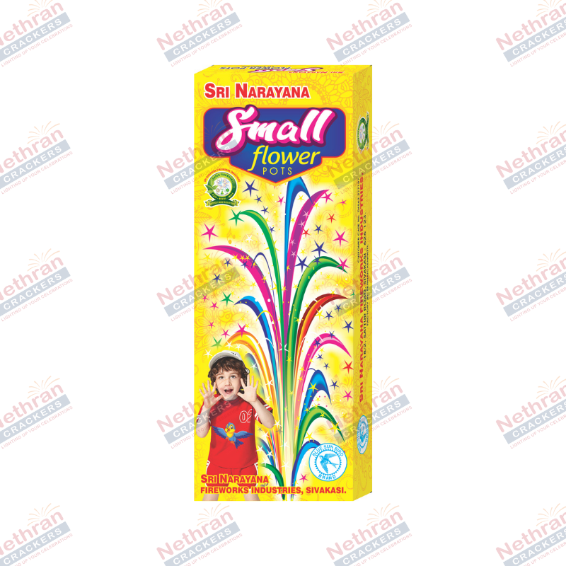 Flower Pots Small (10Pcs/Box)