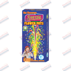 Flower Pots Special (10Pcs/Box)