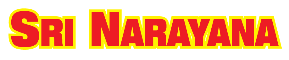 Narayana Fireworks logo